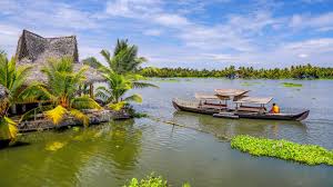 Digital Detox Retreat: Why Your Mind Needs a Break from Screens